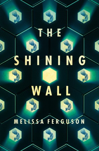 Cover of The Shining Wall by Melissa Ferguson